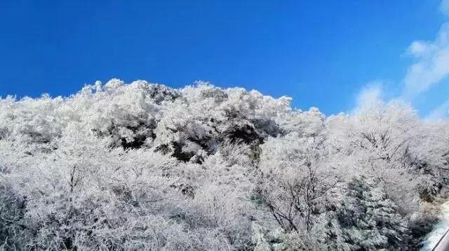 龙江森工集团召开2024年安全生产工作会议暨安委会第一次会议