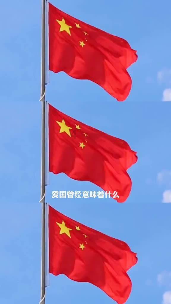 森林鸽营救