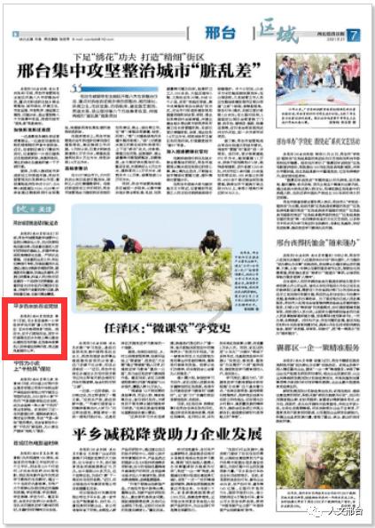 东海县城市管理局：“环卫橙”成为寒冬中美丽风景线