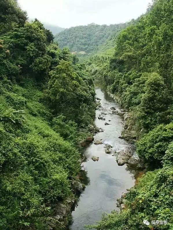 为什么我的小米自带浏览器看网页不显示图游戏画面